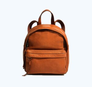 Max Laptop Backpack